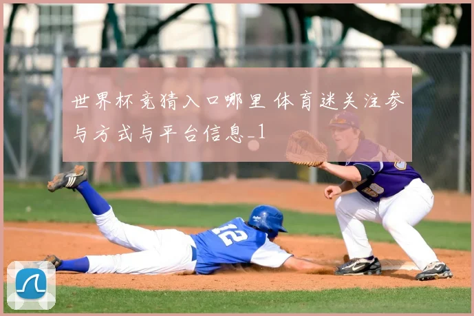 世界杯竞猜入口哪里 体育迷关注参与方式与平台信息_1
