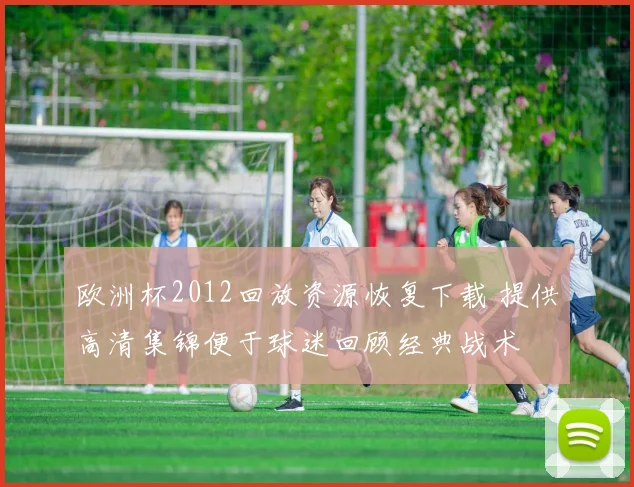 欧洲杯2012回放资源恢复下载 提供高清集锦便于球迷回顾经典战术