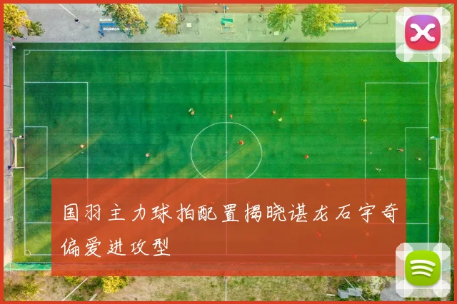 国羽主力球拍配置揭晓谌龙石宇奇偏爱进攻型