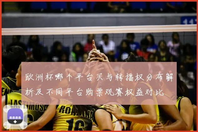 欧洲杯哪个平台买与转播权分布解析及不同平台购票观赛权益对比